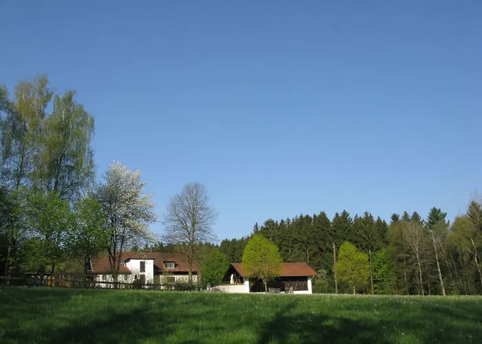 Haus Victoria By Interhome Ferienhaus Schöllnach